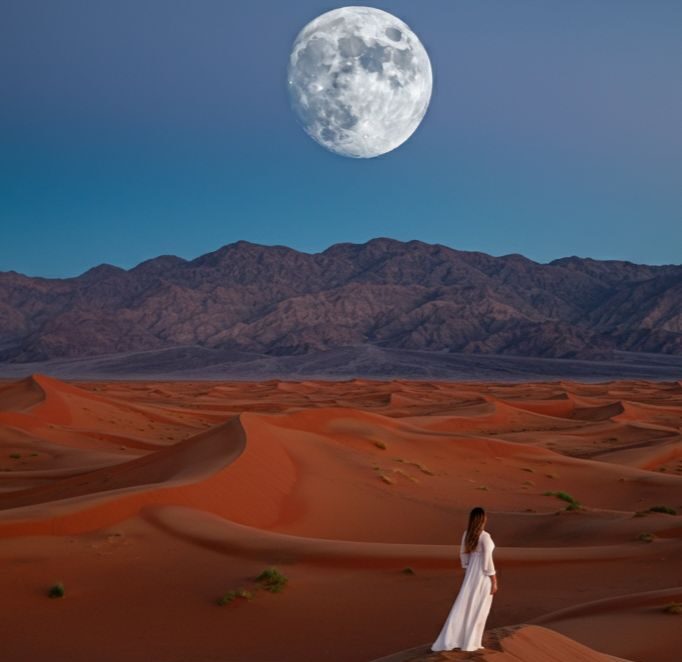 המדבר כמרחב פנימי: למה ריטריטים במדבר הופכים לחוויה מטמורפית