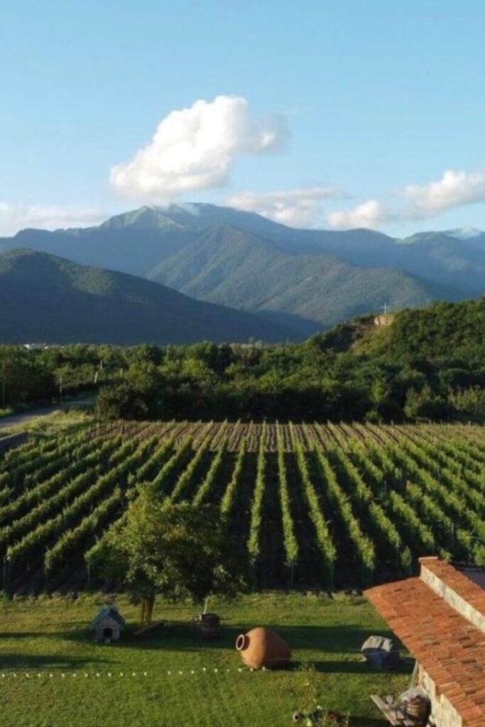 מסע יוגה חוויתי בגאורגיה